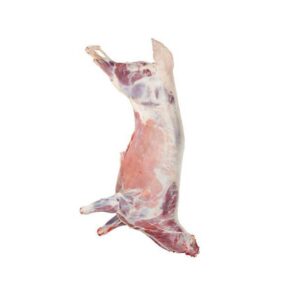 ذبيحة كاملة